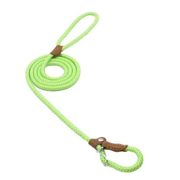 Nylon Dog Leash