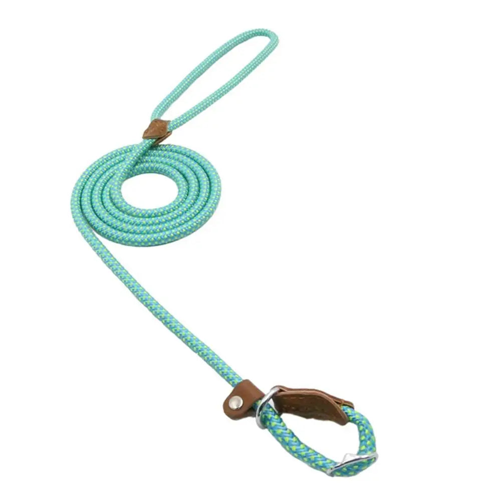 Nylon Pup Premium Dog Collar & Lead Set Anakha H. Nyx