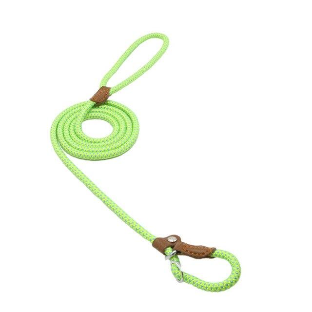 Nylon Dog Leash