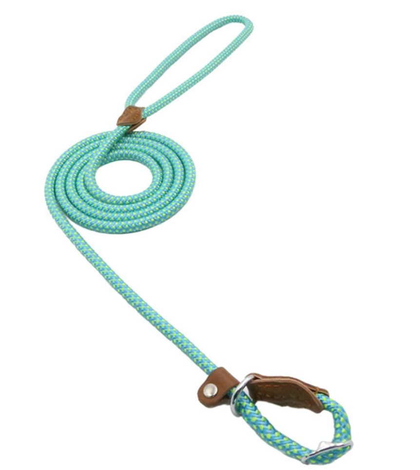 Nylon Dog Leash