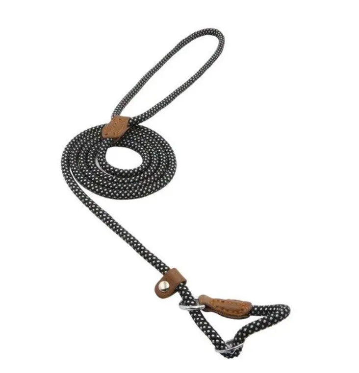 Nylon Pup Premium Dog Collar & Lead Set Anakha H. Nyx