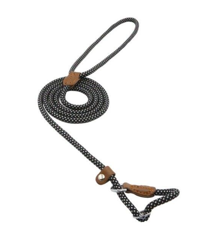 Nylon Dog Leash