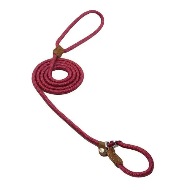 Nylon Pup Premium Dog Collar & Lead Set Anakha H. Nyx