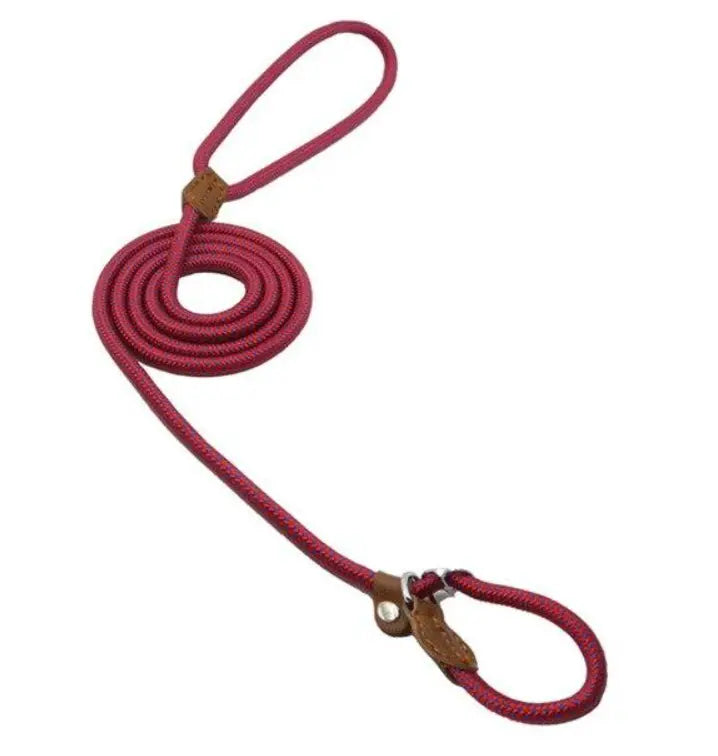 Nylon Pup Premium Dog Collar & Lead Set Anakha H. Nyx