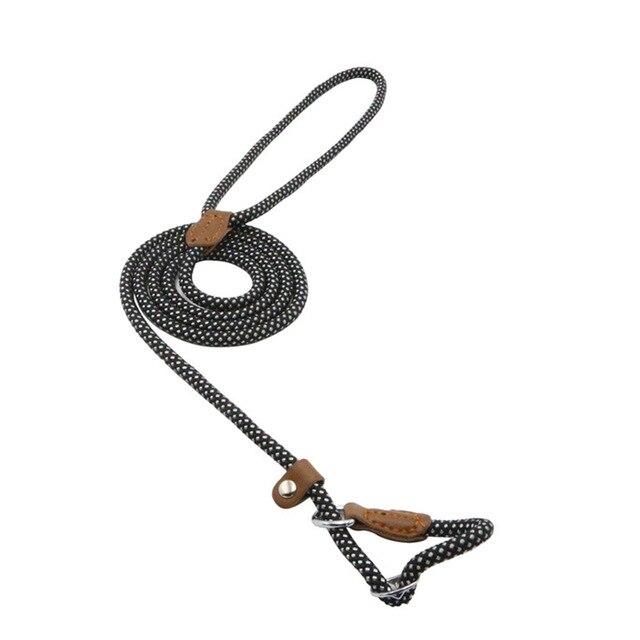 Nylon Dog Leash