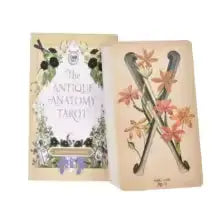 The Antique Anatomy Tarot, a uniquely macabre and deeply intuitive divination tool Anakha H. Nyx