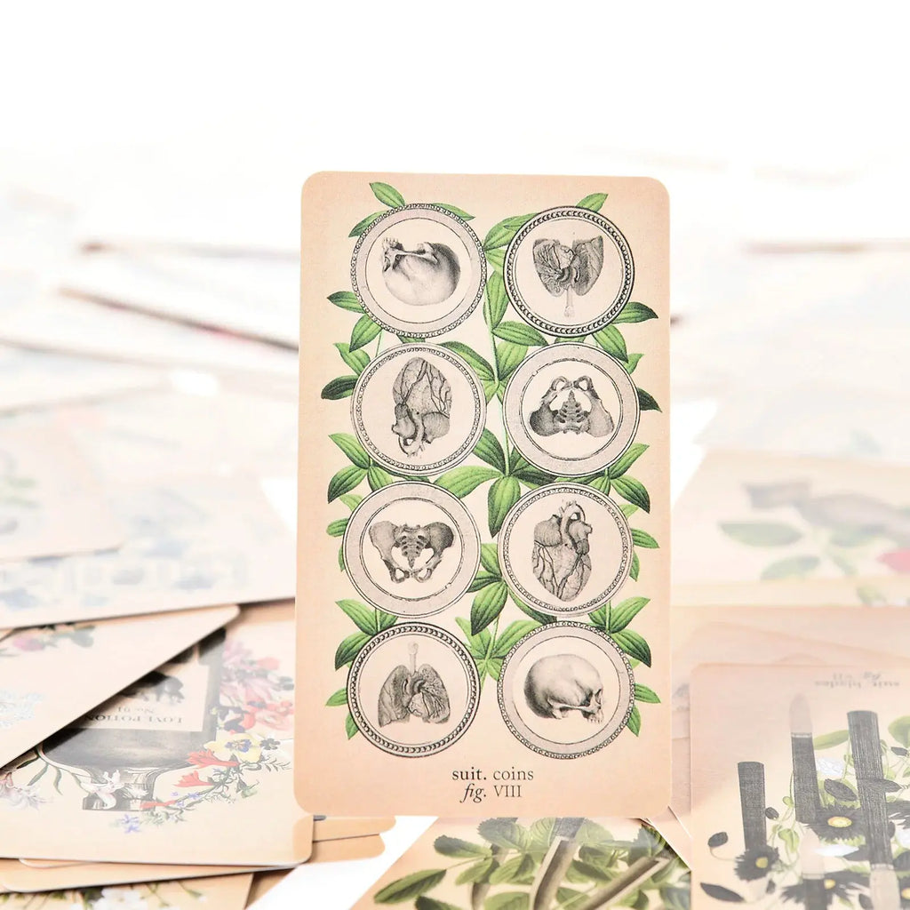 The Antique Anatomy Tarot, a uniquely macabre and deeply intuitive divination tool Anakha H. Nyx