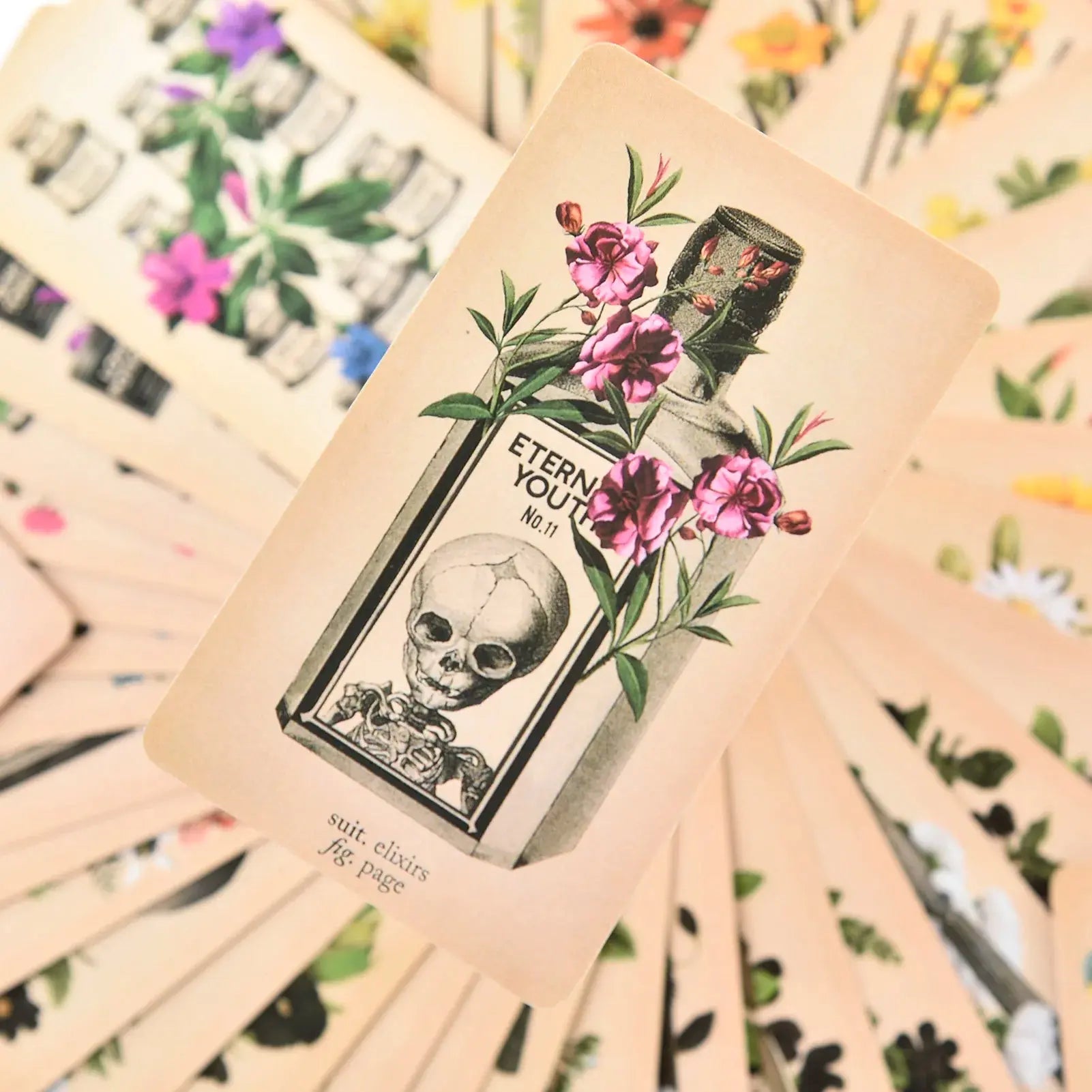 The Antique Anatomy Tarot, a uniquely macabre and deeply intuitive divination tool Anakha H. Nyx
