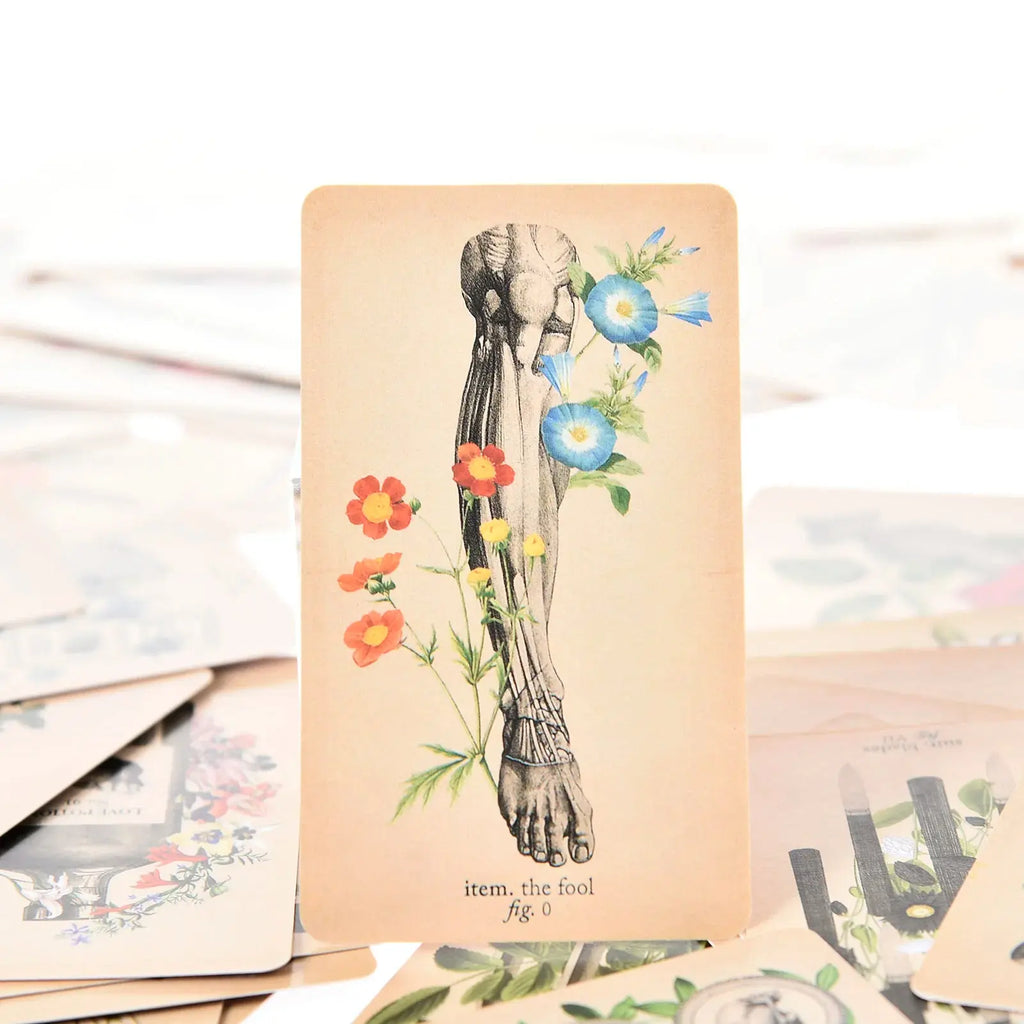 The Antique Anatomy Tarot, a uniquely macabre and deeply intuitive divination tool Anakha H. Nyx