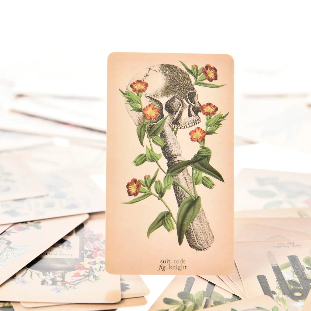 The Antique Anatomy Tarot, a uniquely macabre and deeply intuitive divination tool Anakha H. Nyx