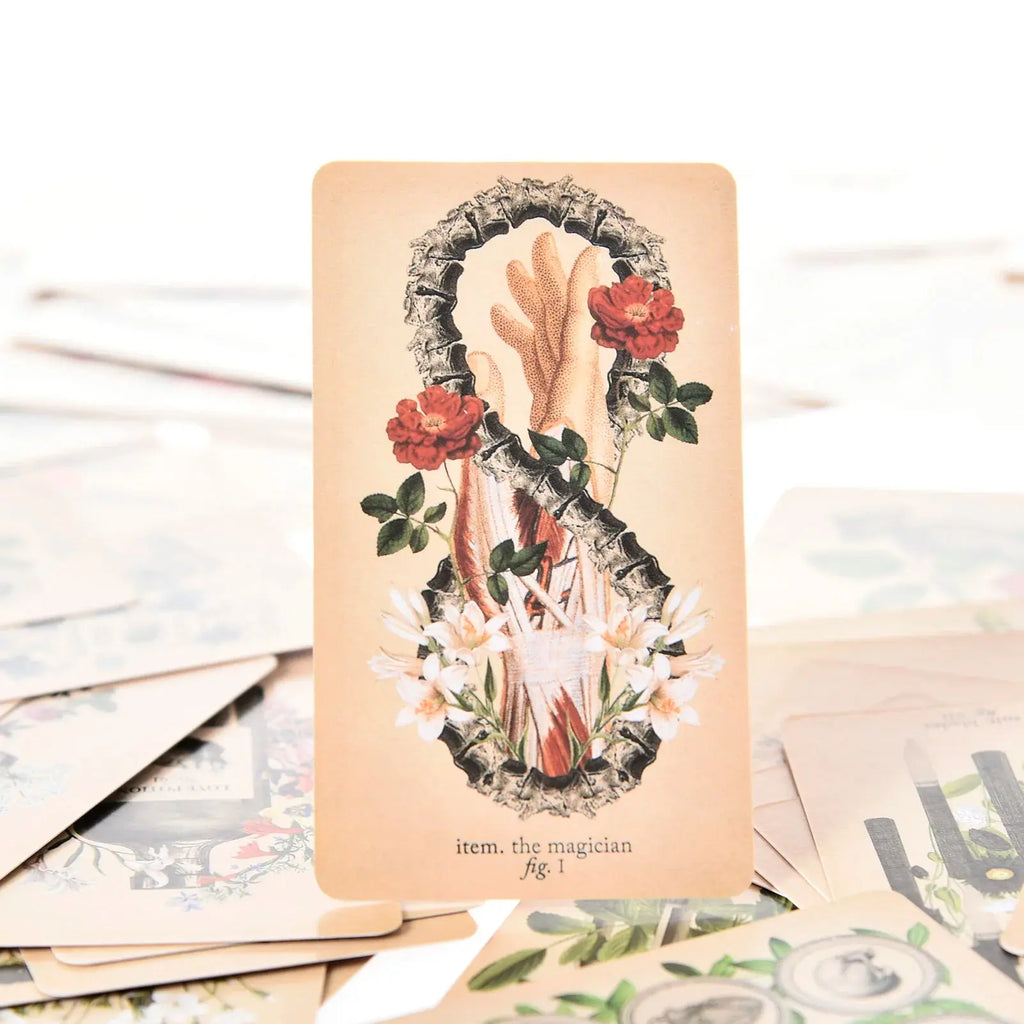 The Antique Anatomy Tarot, a uniquely macabre and deeply intuitive divination tool Anakha H. Nyx