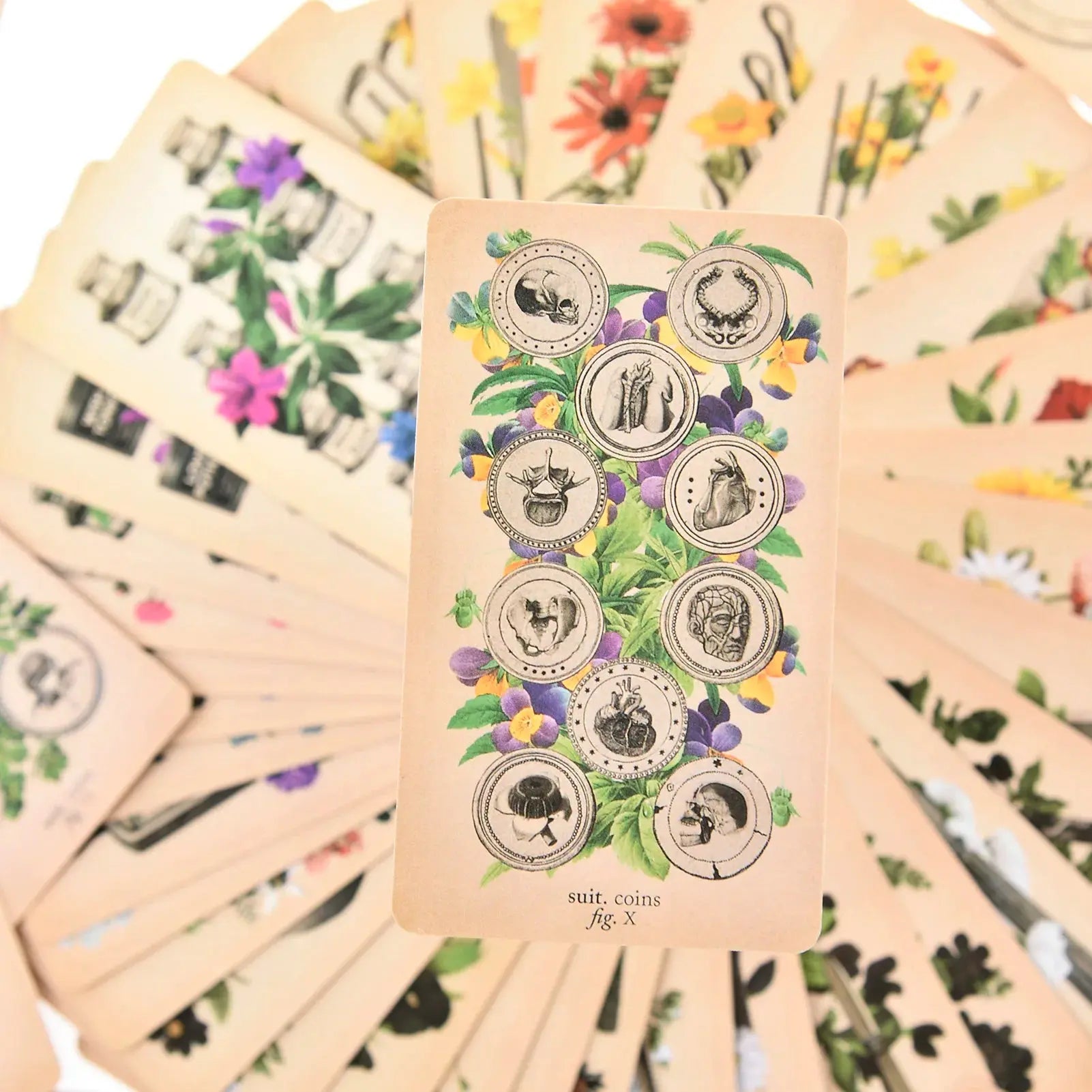 The Antique Anatomy Tarot, a uniquely macabre and deeply intuitive divination tool Anakha H. Nyx