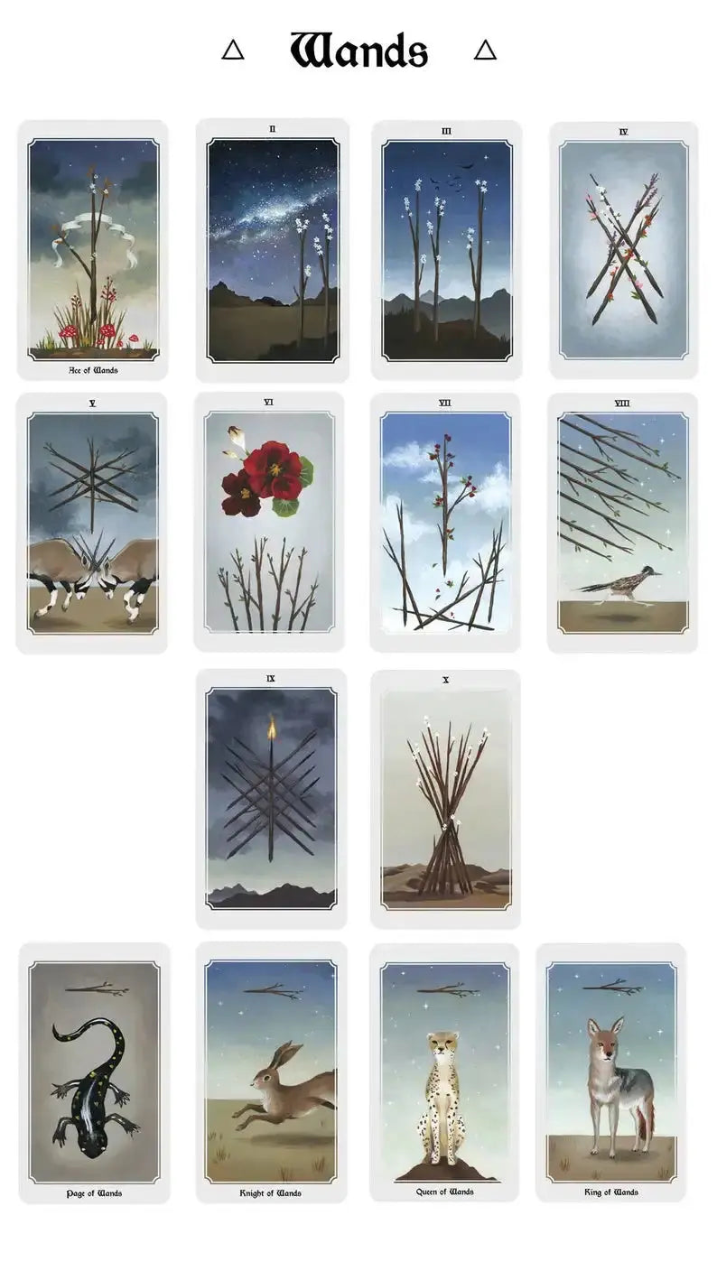 Beautiful Hand Painted Anima Mundi Tarot Anakha H. Nyx