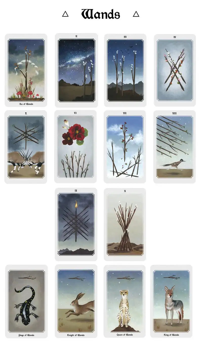 Beautiful Anima Mundi Tarot Deck