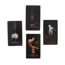 Hand Painted True Black Exquisite Tarot Anakha H. Nyx