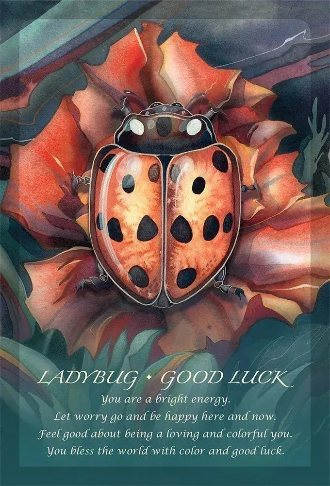 Connect with Nature’s Wisdom: Spirit of the Animals Oracle by Jody Bergsma Anakha H. Nyx