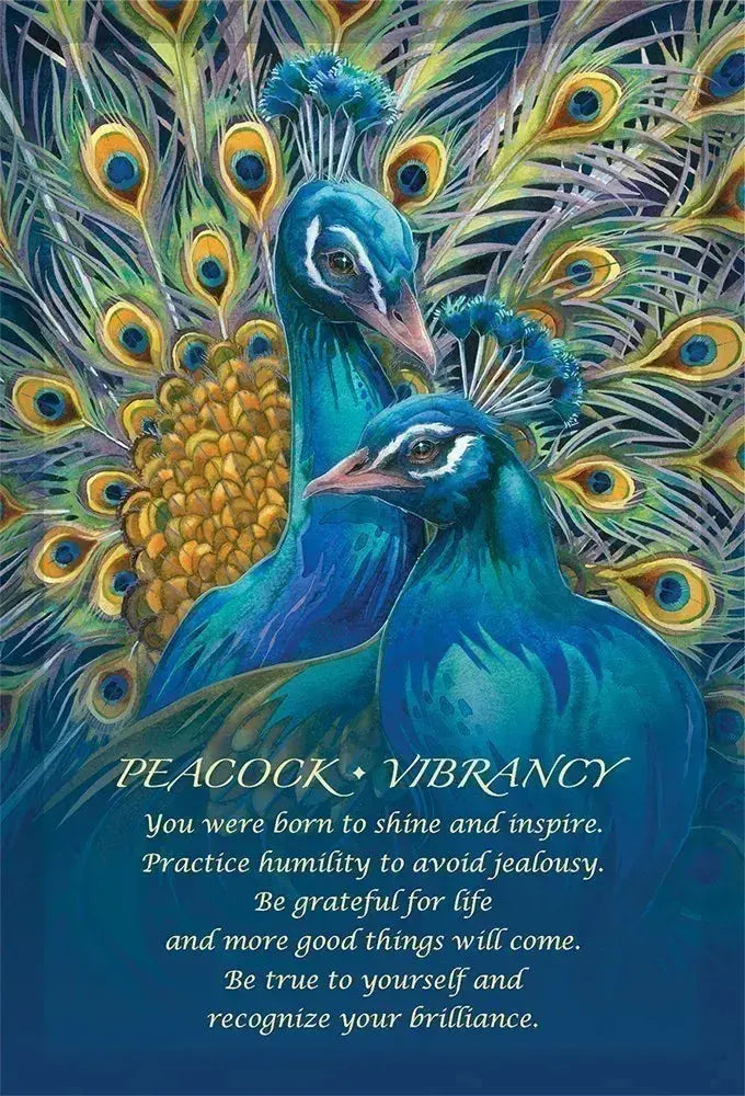 Connect with Nature’s Wisdom: Spirit of the Animals Oracle by Jody Bergsma Anakha H. Nyx