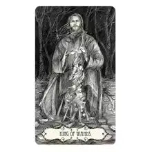 Tarot of the Abyss by Ana Tourian Anakha H. Nyx
