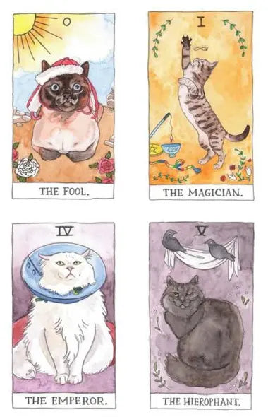 Unlock the secrets of the past, purr-esent, & future w/ the Cat Tarot & Guidebook Anakha H. Nyx