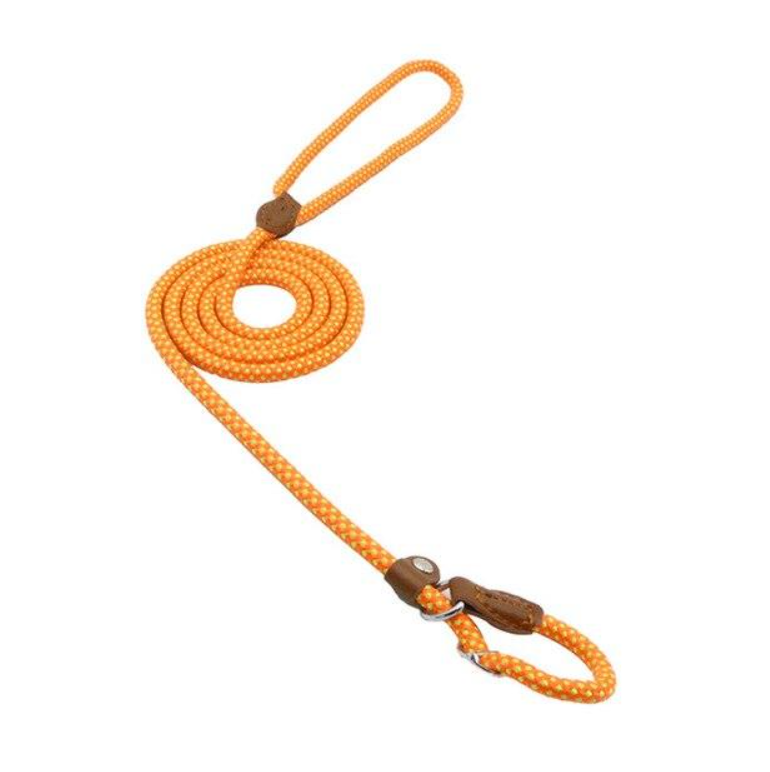 Nylon Dog Leash
