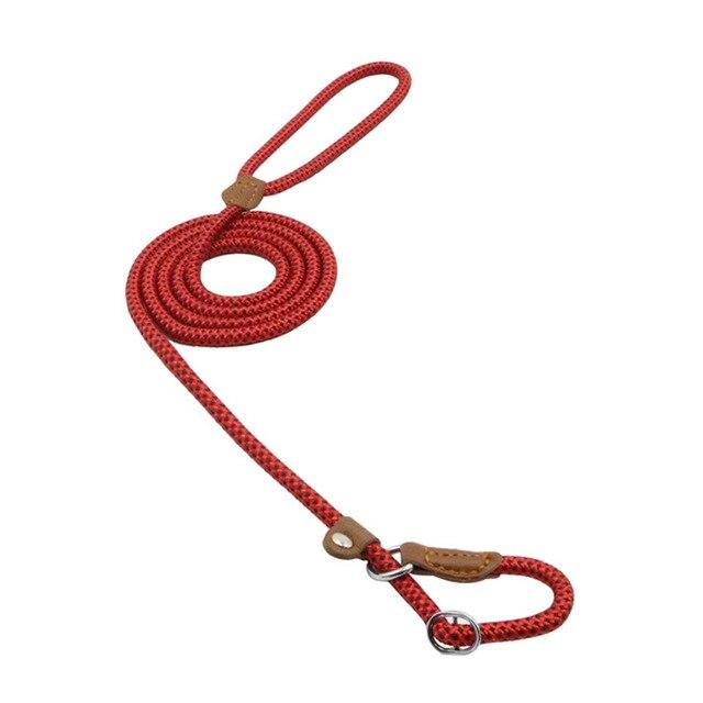 Nylon Dog Leash