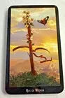 Ellen Dugan Tarot w/ Wiccan Symbolism Anakha H. Nyx